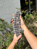 Blue Tegu Adult Female Breeder