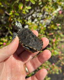 Hi White Concentric Diamondback Terrapin 2025