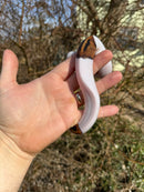 Hi White Pied Ball Python Female