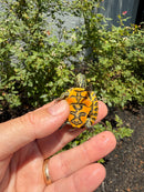 Florida Red Bellied Turtle X Peacock Slider