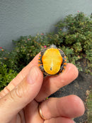 Pastel  Southern Painted Turtle 2026
