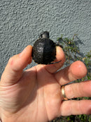 West Coast Pond Turtle Baby