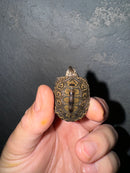 Hi White Concentric Diamondback Terrapin 2024