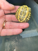 Hi Red Line Bred Pastel Red Eared Slider Turtle 2024