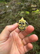 HI YELLOW Florida Box Turtle Baby 2024