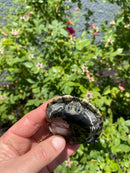 Balkan Pond Turtle Adult Male