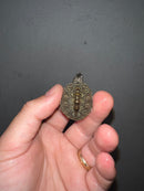 Concentric Diamondback Terrapin 2023 (Malaclemys terrapin)