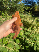 Super Red Niger Uromastyx Adult Pair