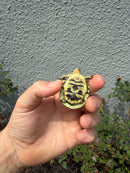 HI YELLOW Florida Box Turtle
