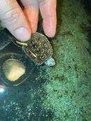 Hi White Concentric Diamondback Terrapin 2025