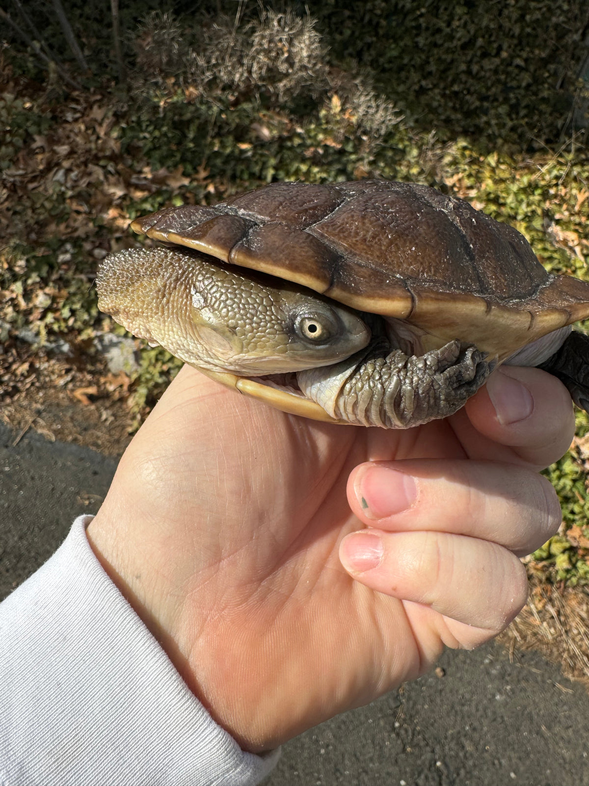 トップス RAW SUTDIO wrap neck turtle FD02DFEF-A3CF-4901-8DD3-