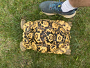 HI White Leopard Tortoise Adult Female