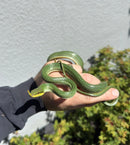 Rhinoceros Ratsnake Adult Female