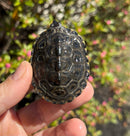 Hi White Concentric Diamondback Terrapin 2025