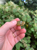Pastel Clown Red Eared Slider Turtle 2023
