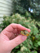 Pastel Clown Red Eared Slider Turtle 2023