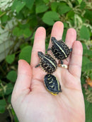 Florida Box Turtle Baby (Terrapene baurii)