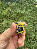 HI YELLOW Florida Box Turtle 2025