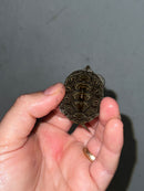 Hi White Concentric Diamondback Terrapin 2023