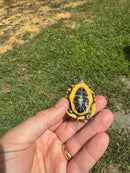 Hi Color Yellow Baby Eastern Box Turtle