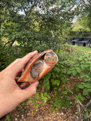 Pink Bellied Sideneck Turtle Adult Female