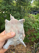 Hypo Translucent Florida Softshell