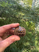 Hi Color Orange Baby Eastern Box Turtle