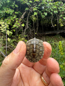Hi White Concentric Diamondback Terrapin 2025