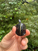 HI YELLOW Florida Box Turtle 2025