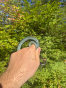 Florida Blue Garter Snake Adult Male