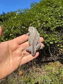 Gargoyle Gecko Adult Female