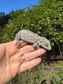 Gargoyle Gecko Adult Female