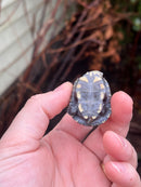 Pastel Yellow Headed East African Mud Turtle Babies (Pelusios castanoides)