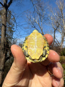 Pastel Picasso Red-Eared SliderTurtle