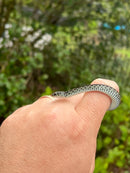 Florida Blue Garter Snake Male