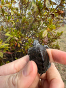 Hi White Concentric Diamondback Terrapin 2025