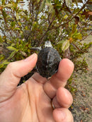 Hi White Concentric Diamondback Terrapin 2025