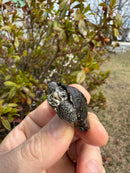 Hi White Concentric Diamondback Terrapin 2025