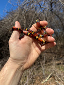 Scarlet Kingsnake Adult Male