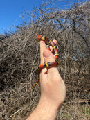 Scarlet Kingsnake Adult Male