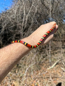 Scarlet Kingsnake Adult Male