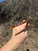 Scarlet Kingsnake Adult Male