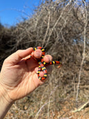 Scarlet Kingsnake Adult Male