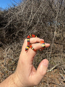 Scarlet Kingsnake Adult Male