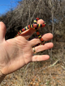 Scarlet Kingsnake Adult Female