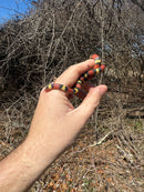 Scarlet Kingsnake Adult Female