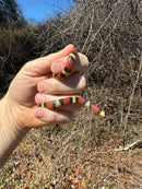 Scarlet Kingsnake Adult Female