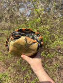 Rio Grande River Cooter Adults (Pseudemys gorzugi)