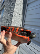 Super Red Northern Red Bellied Turtle Adult Male