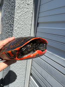 Super Red Northern Red Bellied Turtle Adult Male